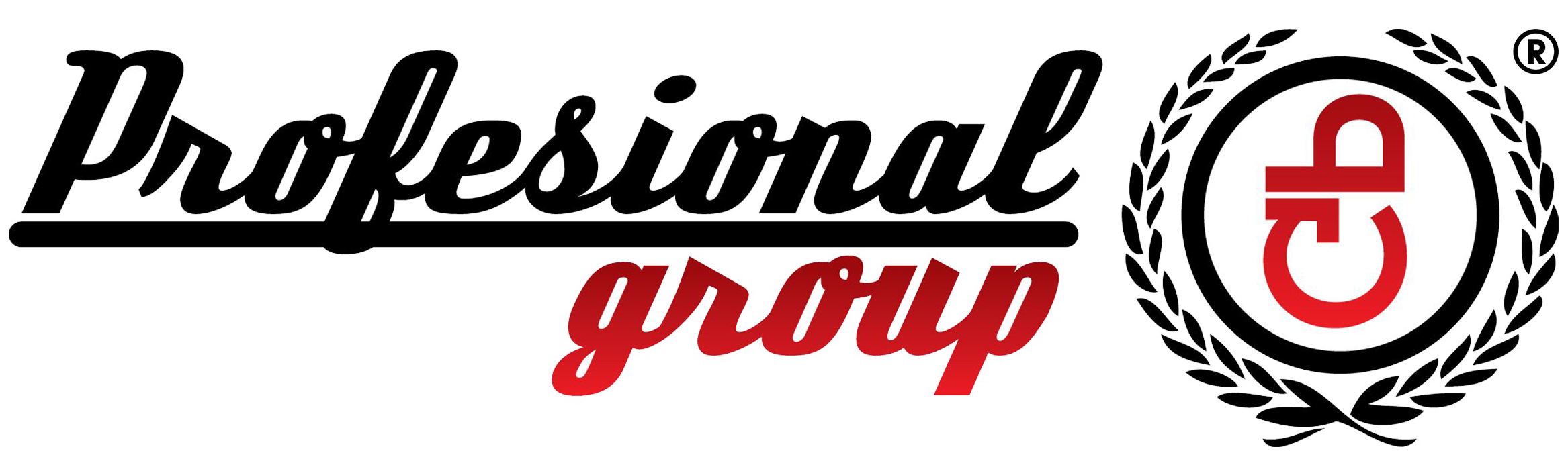 Logo profesional group